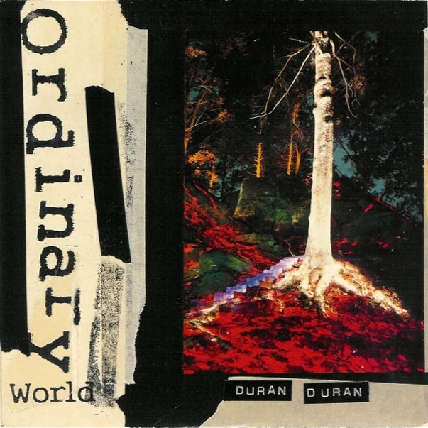Ordinary World - Duran Duran - Album Cover