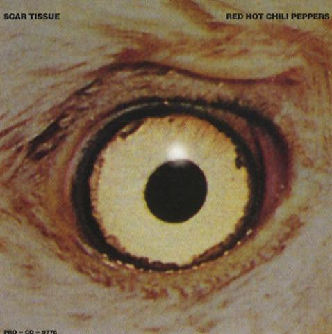 Scar Tissue - Red Hot Chili Peppers - Drum Sheet Music