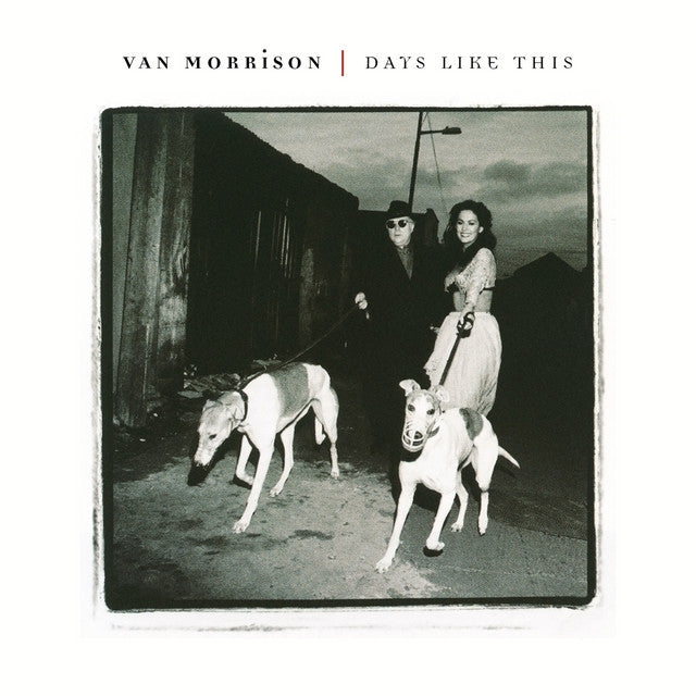 Days Like This - Van Morrison - Album Cover