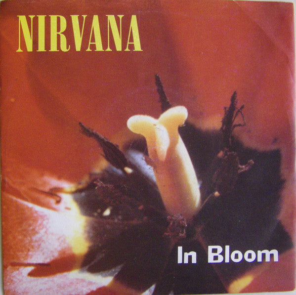 In Bloom - Nirvana - Drum Sheet Music